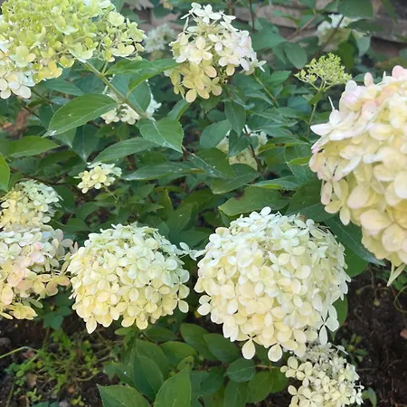 Bed & Breakfast Winding