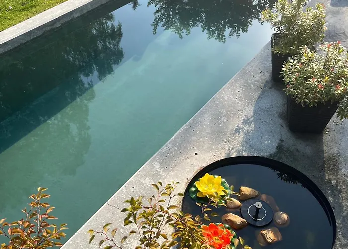 Winding Bed & Breakfast *